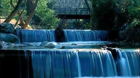 EXCLUSIF - سورة الملك بفضلة الشيخ احمد علي العجمي.flv