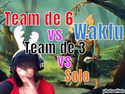 Wakfu en solo à 3 ou à 6 ? Débuter sans difficulté #WakfuNeverDie