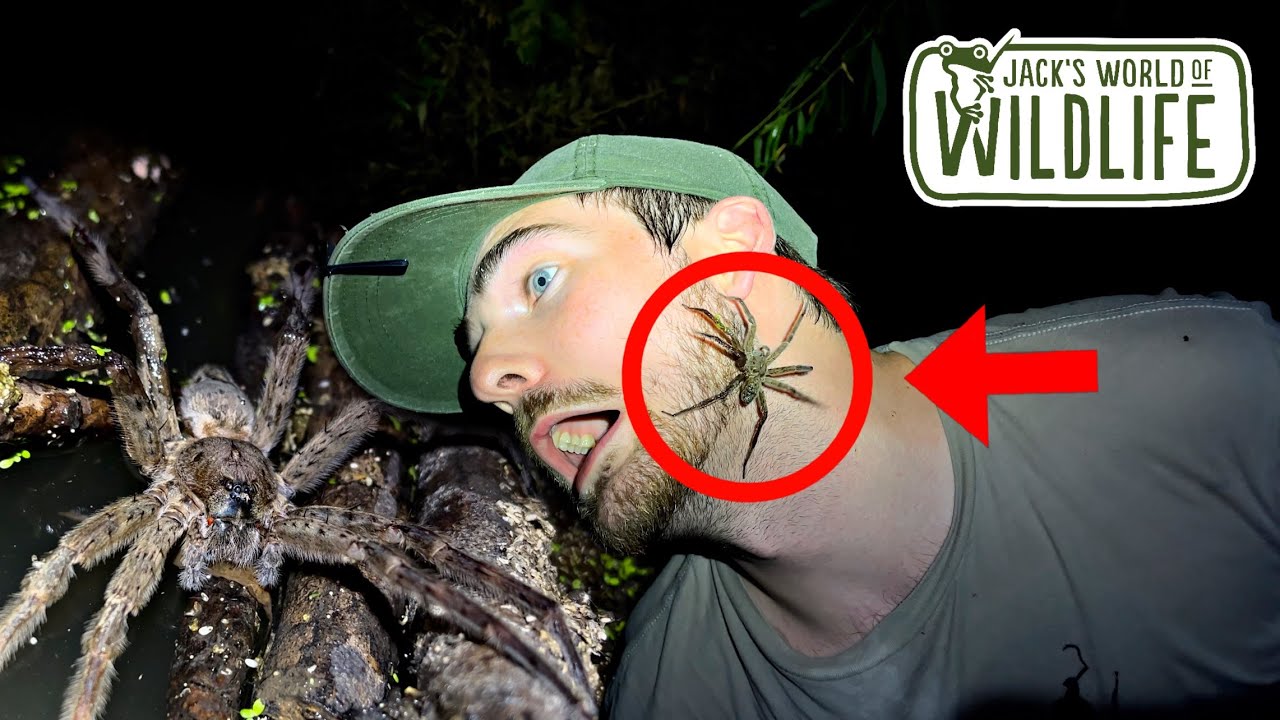 HUGE Fishing SPIDER on MY FACE!!! 