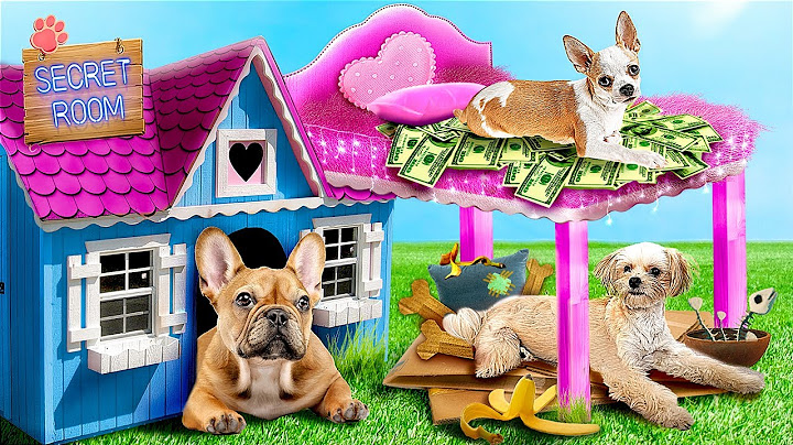 We're Building Secret Rooms for Pets! I Bought a Pet Store