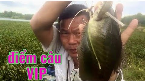 chia sẻ điểm câu cá SẶC RẰN, cá THÁC LÁC CƯỜM, CÁ LÓC tại bình thuận