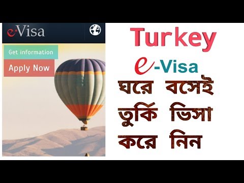 Video: Ի՞նչ է E-Visa համակարգը