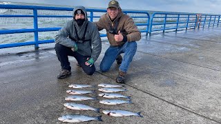 How to catch Coho Salmon on a pier in Lake Michigan! Limited Out!👍🎣😎