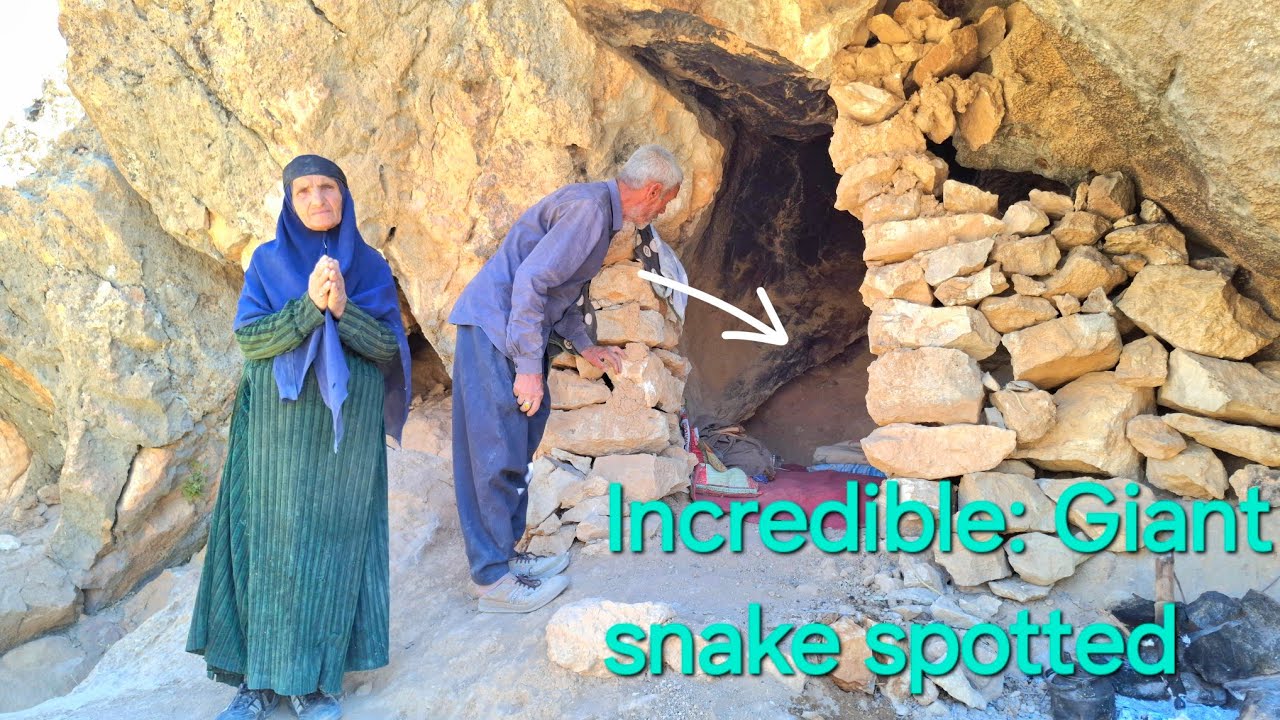 "Escaping from the snake! Will it keep chasing them?"