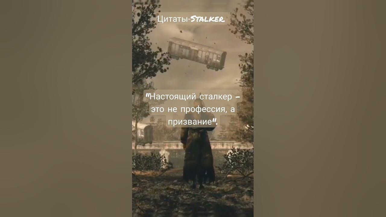 #stalker #stalker2 #сталкер #сталкер2 - YouTube