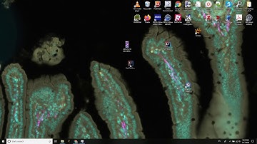 QuPath Workshop 2020 - Win10 computer cleanup, QuPath m9 install, and testing.