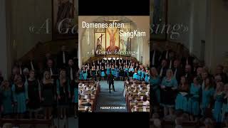 Damenes aften &amp; SangKam, Hamar Domkirke. «A Gaelic Blessing» John Rutter [Iphone Rec] [2023]  #music