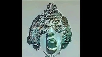 Everywhere At The End Of Time With Voices: Stage 5: K2 - Was It All Just A Dream?