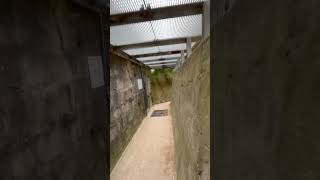 Juno beach ww2 bunker. #germanmilitary #ww2 #history #canada #france 🇫🇷🇨🇦