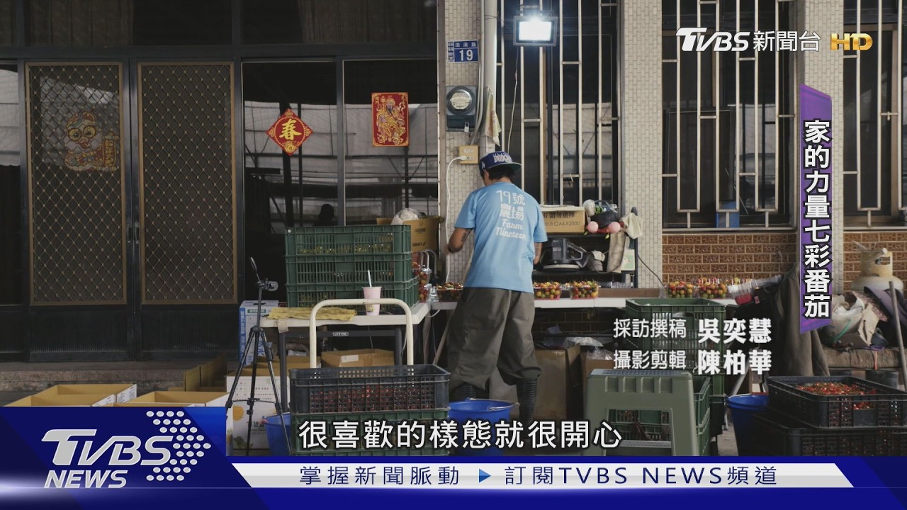 北漂返鄉青農 打造七彩番茄品牌｜TVBS新聞 @TVBSNEWS01