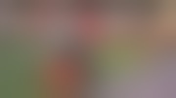 Best Fails of the Month July 2015    FailArmy