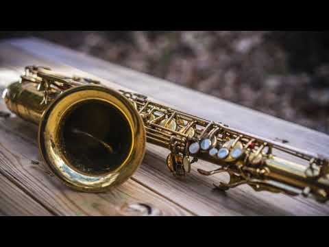 Musical Instrument Virtual Petting Zoo 