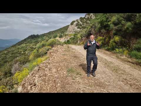 Menalo Trail: Περπατάμε Στεμνίτσα - Δημητσάνα (video)!