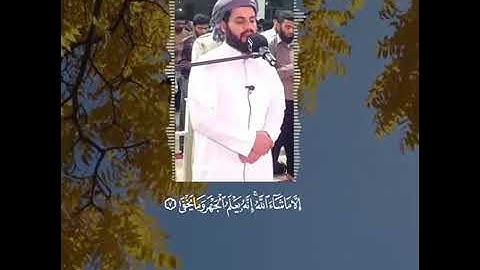 القارئ رعد الکردي 😍 سورة الاعلی 💙 تلاوە هادیة 💙 حالات واتس اب🎧😍