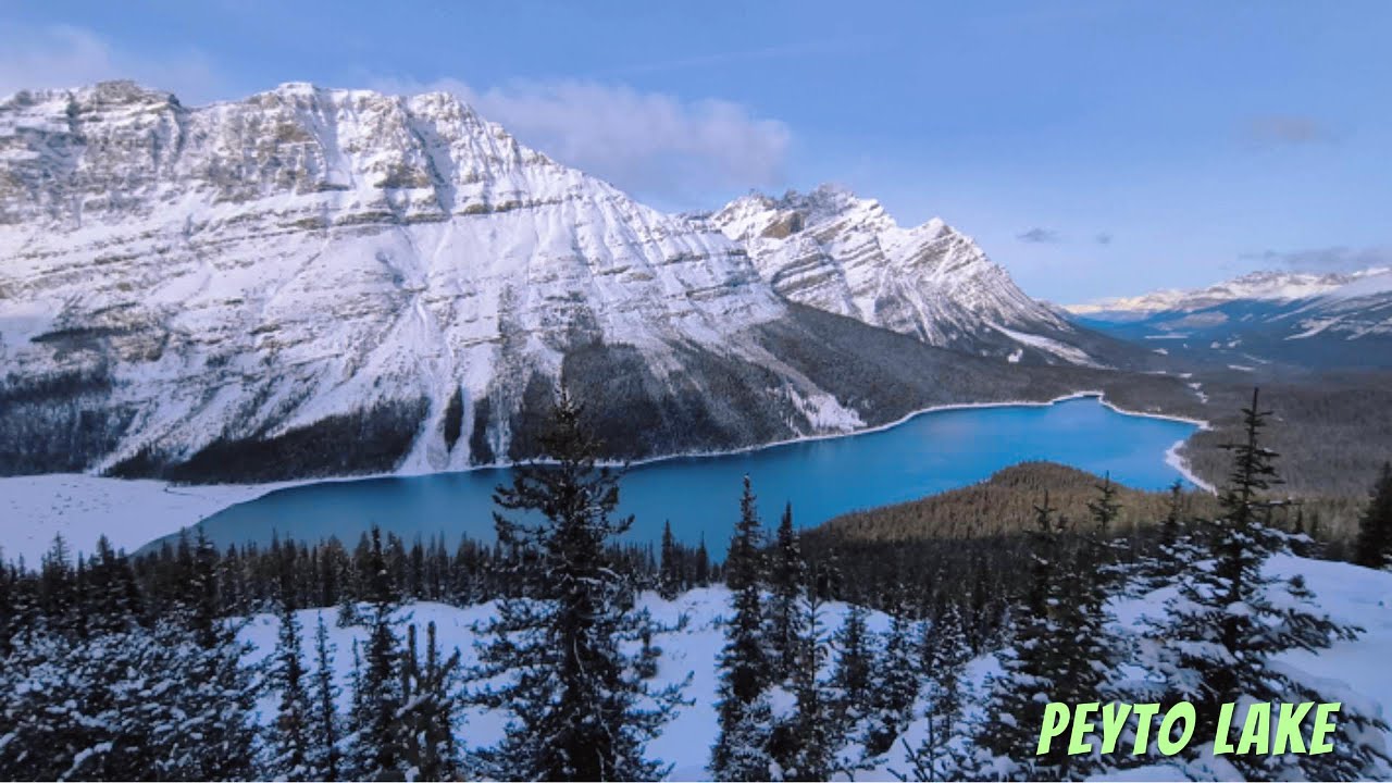Why Peyto Lake Is a Must-See Stop on the Icefields Parkway