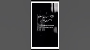 القارئ انس المالك📻🤍