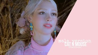 Blackswan - Cat N Mouse Male Version