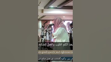 والله الذي أرسل الرياح فتثير سحابا فسقناه إلى بلد ميت فأحيينا به الأرض | يوسف العيدروس | سورة فاطر