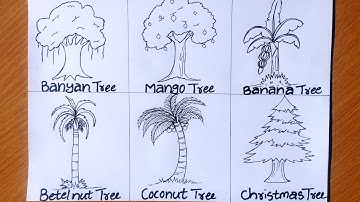 Different Types Of Trees Drawing/How To Draw Trees/Christmas Tree, Mango Tree, Banana Tree Drawing