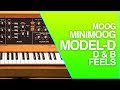 Moog Minimoog Model D | D&amp;B Feels