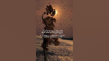 قرآن كريم بصوت جميل # #قران_كريم #اكسبلور #لايك #quran #راحة_نفسية #قرآن