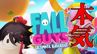 【Fall Guys】"取得率0.1%"の実績『LVカンスト』取れるまでやる。ついでに１０回一位獲るし五連勝もする