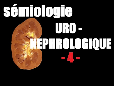 sémiologie uro nephrologique 4