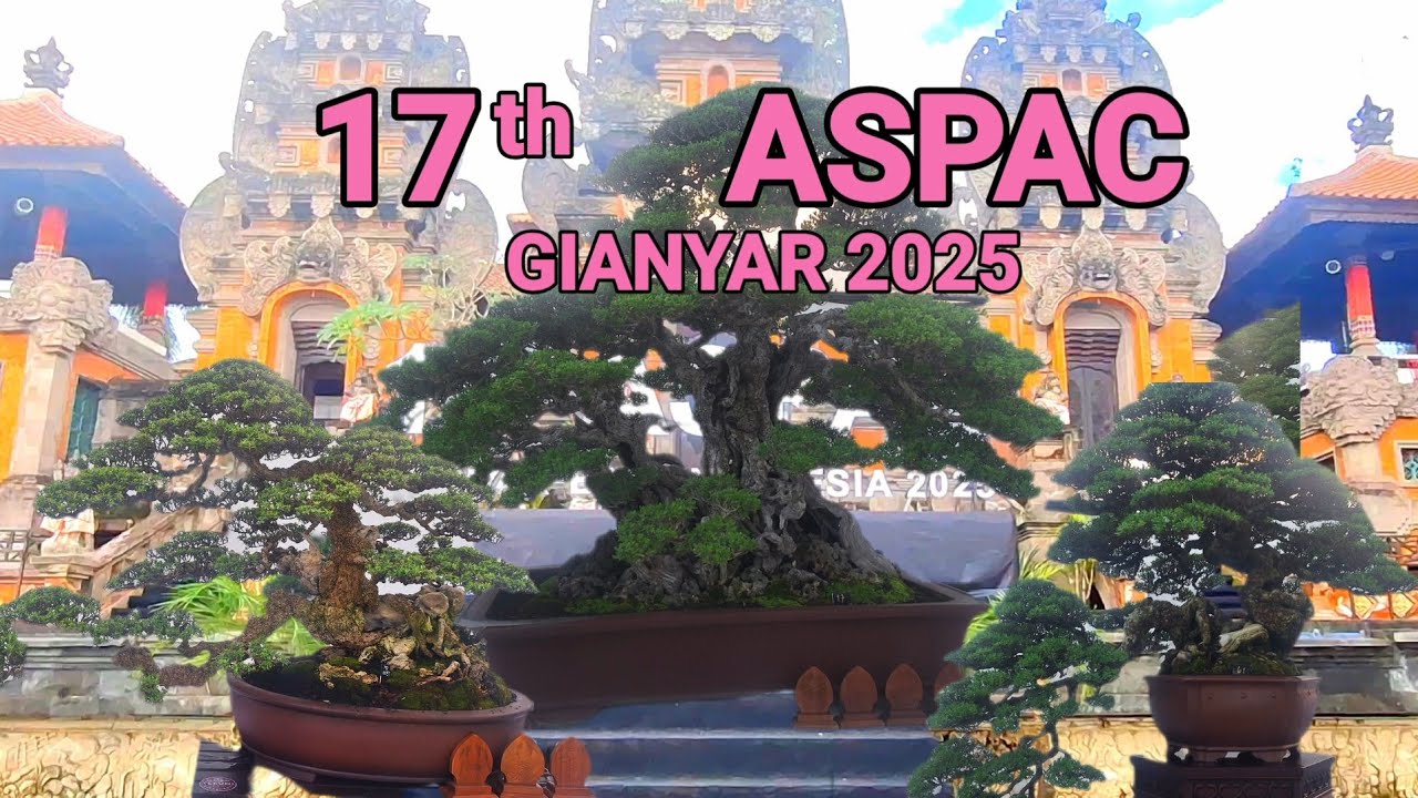 ASPAC GIANYAR 2025 PAMERAN BONSAI TERBESAR DI INDONESIA