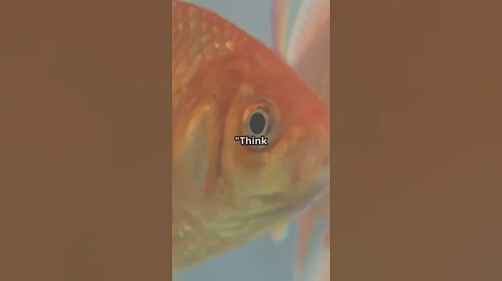 Think goldfish only have a 3-second memory?