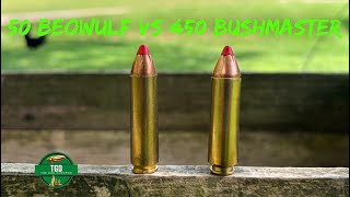 50 Beowulf VS 450 Bushmaster | 100 Yards Energy Test