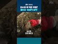 물티슈를 변기에? 뚫는데 매년 1000억원 썼다 #JTBC #Shorts