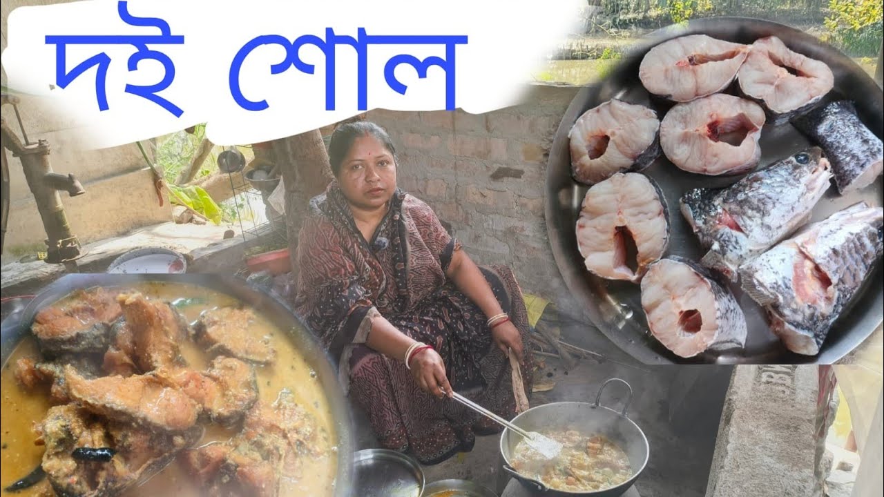 আজকের নতুন রেসিপি দই শোল😋😋😋 