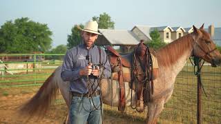 Advancing from the Snaffle Bit to the Correction (leverage) Bit [Understanding the Mechanics]