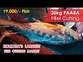 20kg 1109000 massive paara fish expert cutting for fillet at largest fish cutting market kolkata