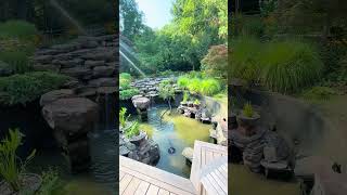 START-to-FINISH Look at BOG BUILD in Northern Virginia!