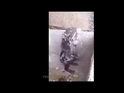 ცხელი წყალი გინდა ?