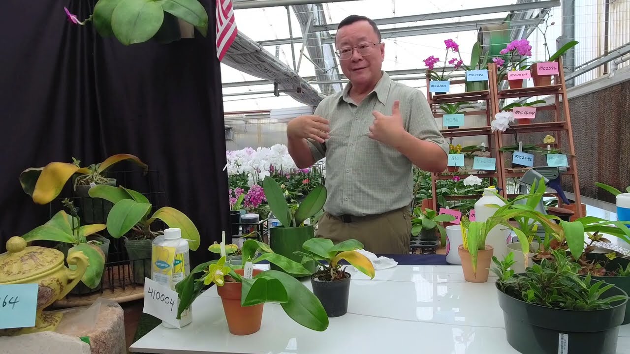 Norman Fang Live!  Episode 105- War on Mites