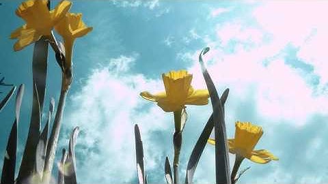 احمد العجمي | سورة المدثر كاملة HD