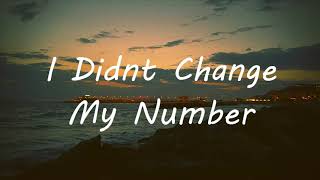 Billie Eilish - I Didn't Change My Number (Lyrics)