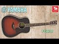 Акустическая гитара YAMAHA FG830 ( Топ из массива ели, корпус - исчезающий палисандр)