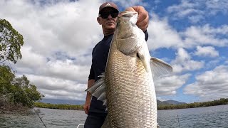 Unbelievable BARRAMUNDI Fishing Townsville | Catch and Cook