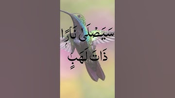 Surah Al-Masad (The Palm Fiber, Flame) | سورة المسد