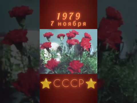 ПОМНИТЕ КРАСНЫЕ ГВОЗДИКИ НА ПРАЗДНИК #ретролёт #когдатодавно #ссср #история #назадвссср #7ноября