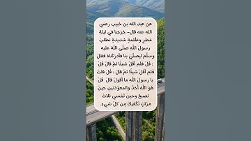 فضل قراءة سورة الإخلاص والمعوِّذتينِ في الصباح والمساء #حديث #الارسولالله #النبي_محمد #اكسبلور