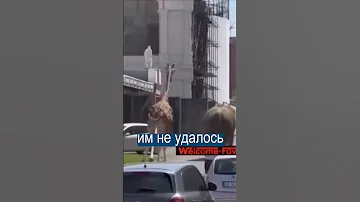 Жираф и слон сбежали со съемок фильма в Италии