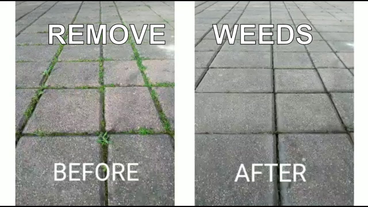 Remove Weeds form Paving Stones with a Wire Brush YouTube