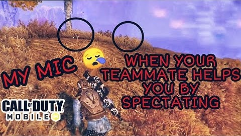 WHEN YOUR TEAMMATE HELPS YOU BY SPECTATING | CODM BR GAMEPLAY