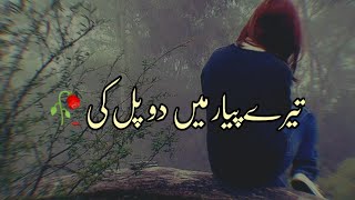 Tere Pyar Me Do Pal Ki | Sad 2 Line Shero Shayari Status | Urdu Poetry screenshot 2