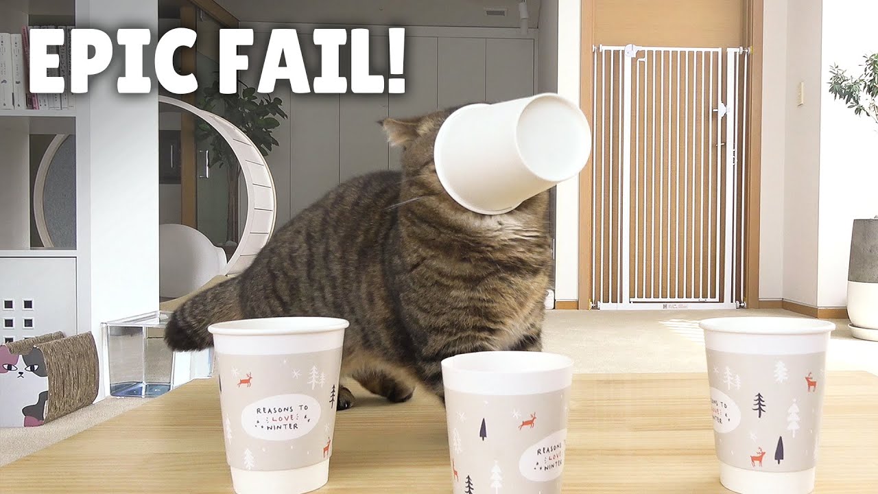 ЛуЛу Как Обычно Потерпел Неудачу! | Kittisaurus