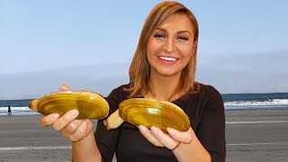 EASY RAZOR CLAM CLEANING AND BEST RECIPE EVER!- Clam Linguini | BAD ASH OUTDOORS